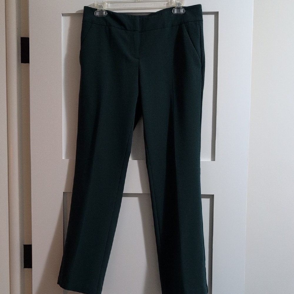 New York & Company Dark Green Pants